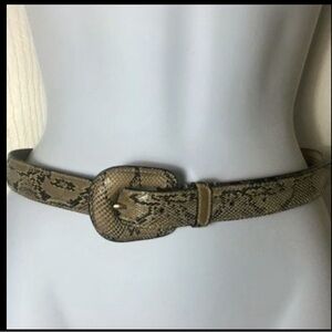 Authentic Python Belt by WCM New York